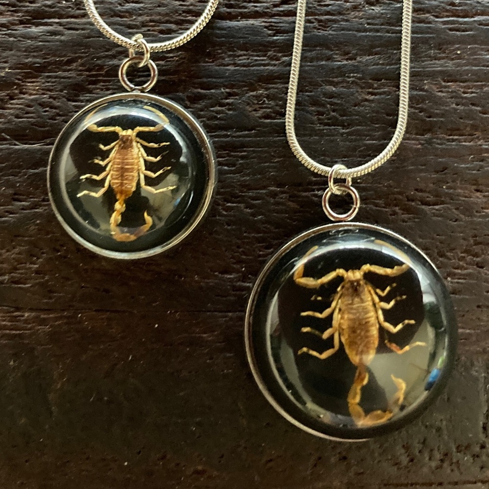 Real Golden Scorpion Resin Necklace Insect Pendant Jurassic Park Goth Scorpio